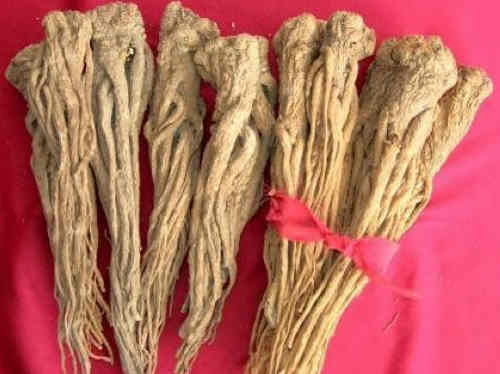 孕妇能吃当归吗？怀孕妈咪不能吃当归