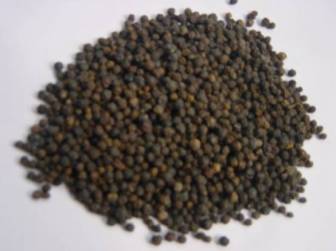 孕妇能吃胡椒吗？怀孕应避免食用热性香料