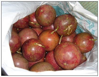 孕妇能吃百香果吗？怀孕如何吃百香果？