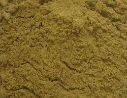 孕妇能吃孜然吗？孕妇补锌食谱：孜然鱿鱼