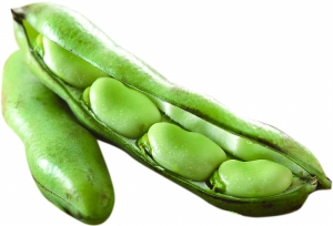 孕妇能吃蚕豆吗?怀孕吃蚕豆宝宝会得蚕豆病?