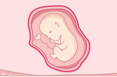 试管婴儿发生单卵双胎的机率比自然怀孕高？