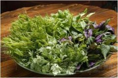 孕妇能吃野菜吗？怀孕不能吃哪些野菜？