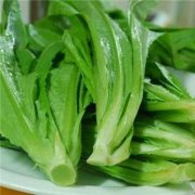 孕妇能吃油麦菜吗？油麦菜可帮助孕妈补铁补钙