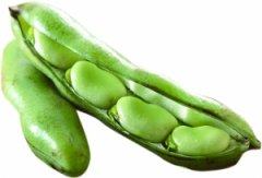 孕妇能吃蚕豆吗?怀孕吃蚕豆宝宝会得蚕豆病?