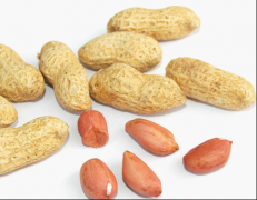 孕妇能吃花生吗？怀孕吃花生的好处有哪些？