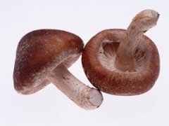 孕妇能吃蘑菇吗？怀孕期间吃香菇有什么好处
