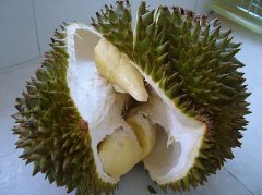 孕妇能吃榴莲吗？怀孕吃榴莲的好处有哪些？