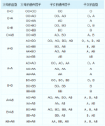 详细解析血型的遗传规律