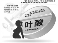 孕前孕中补叶酸，生聪明宝宝