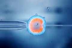 胚胎细胞残留是什么意思